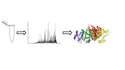 protein identification and quantitation